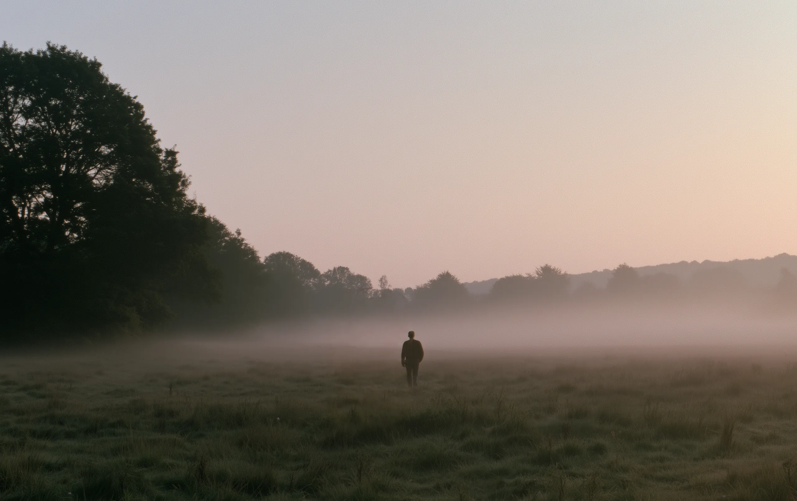 Eine einzelne Gestalt geht durch eine Wiese im ersten Licht davon, und im Nebel dahinter steht etwas Zweites